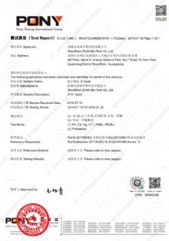 Test Report